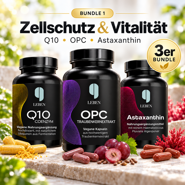 Bundle 1: Zellschutz & Vitalität