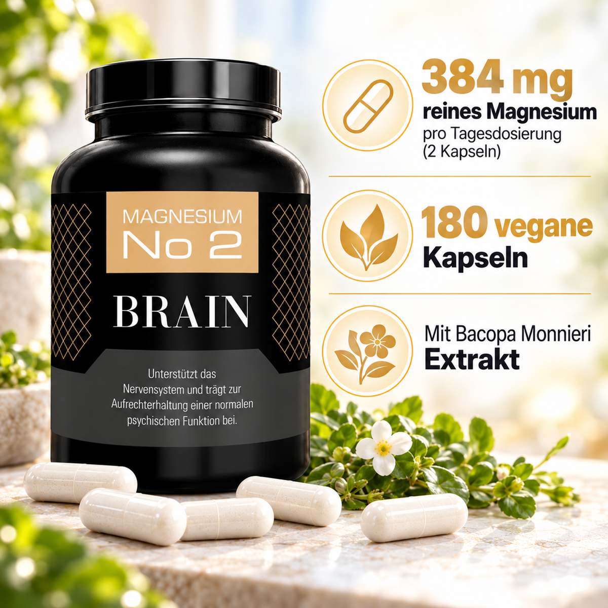 Bundle 2: Energie & Balance