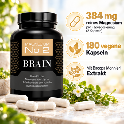 Bundle 2: Energie & Balance
