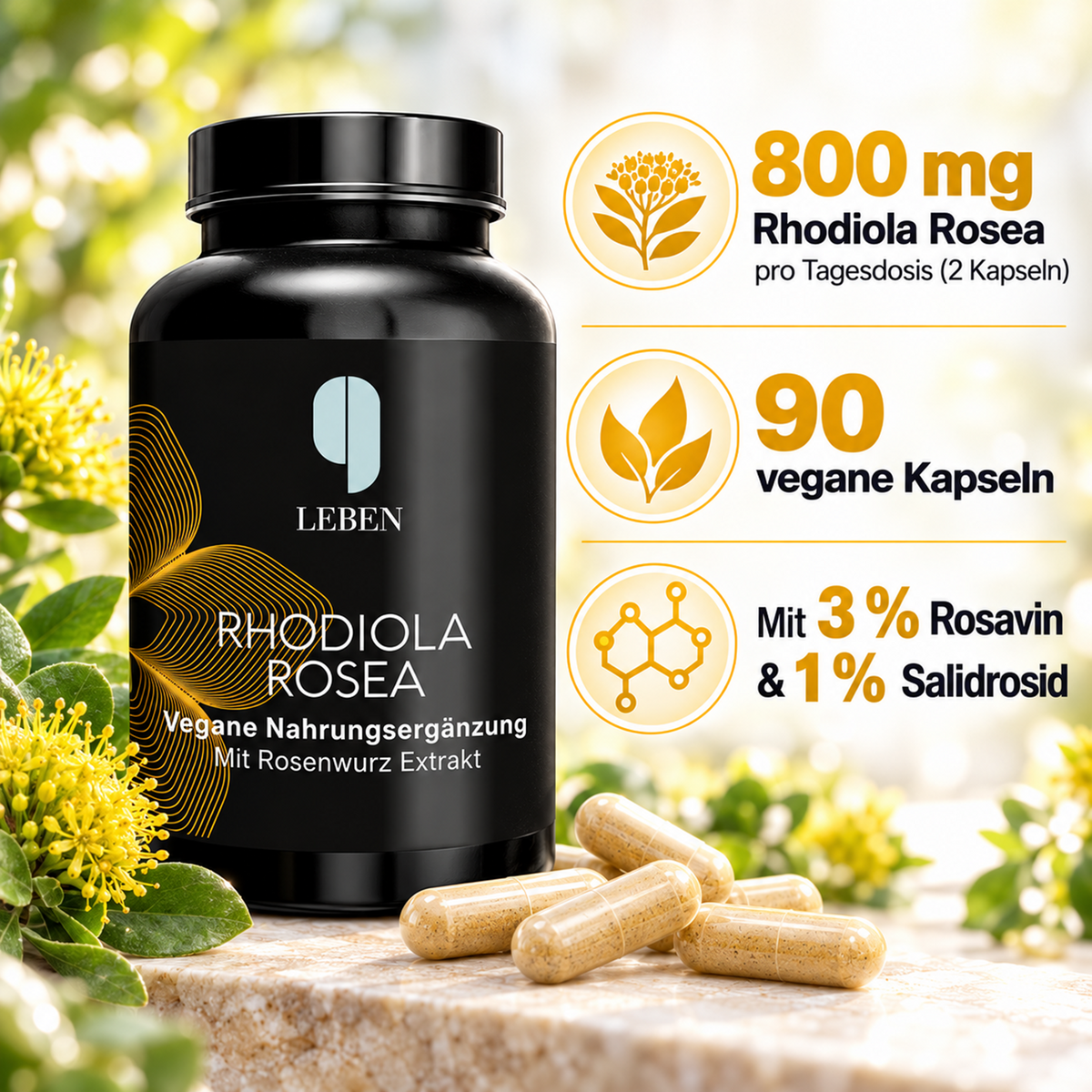 Bundle 2: Energie & Balance