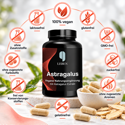 Astragalus – 1.000 mg Tragantwurzel-Extrakt