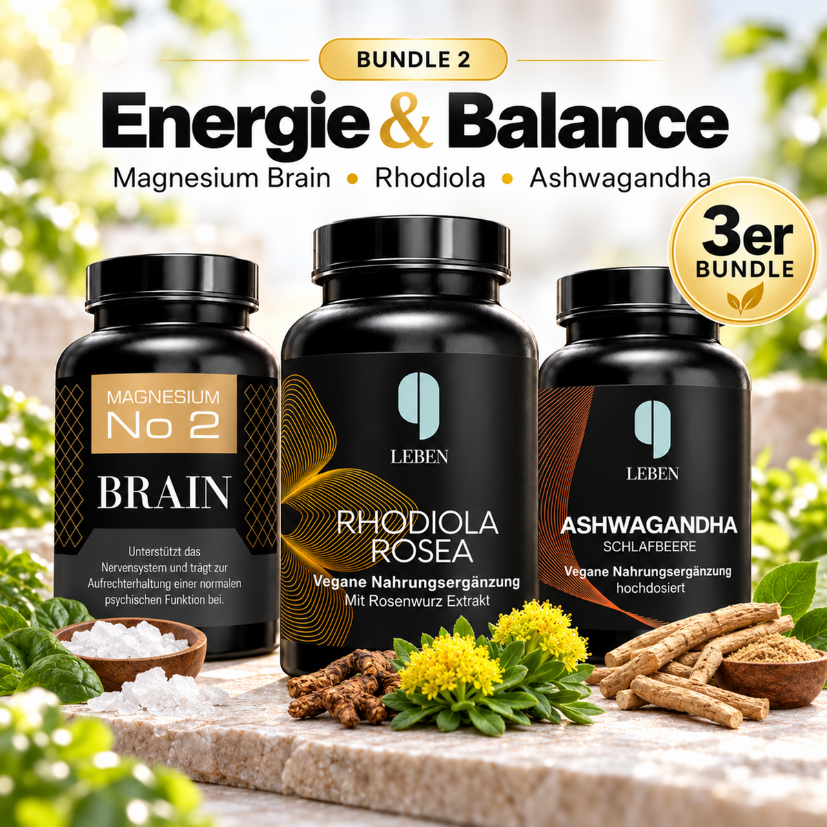 Bundle 2: Energie & Balance