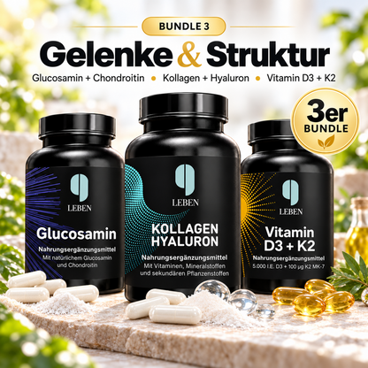 Bundle 3: Gelenke & Struktur